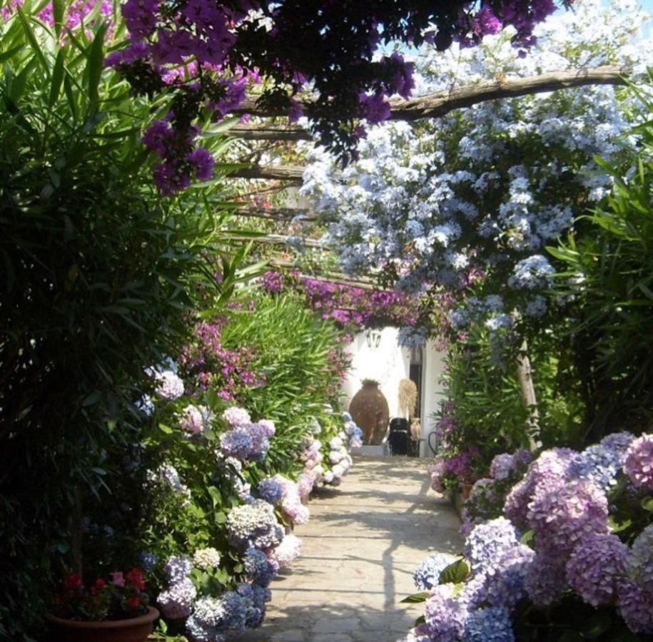 Marunnella Suites Capri Eksteriør bilde