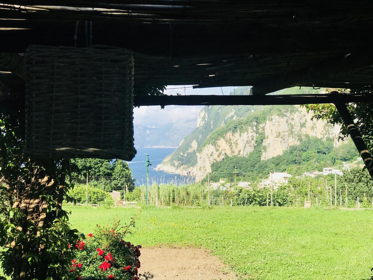 Marunnella Suites Capri Eksteriør bilde